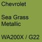 Preview: Chevrolet, Sea Grass Metallic, WA200X / G22.